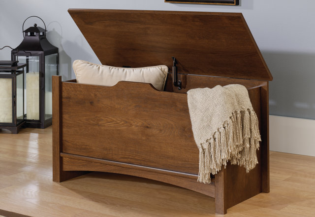 Chic Trunks for Less